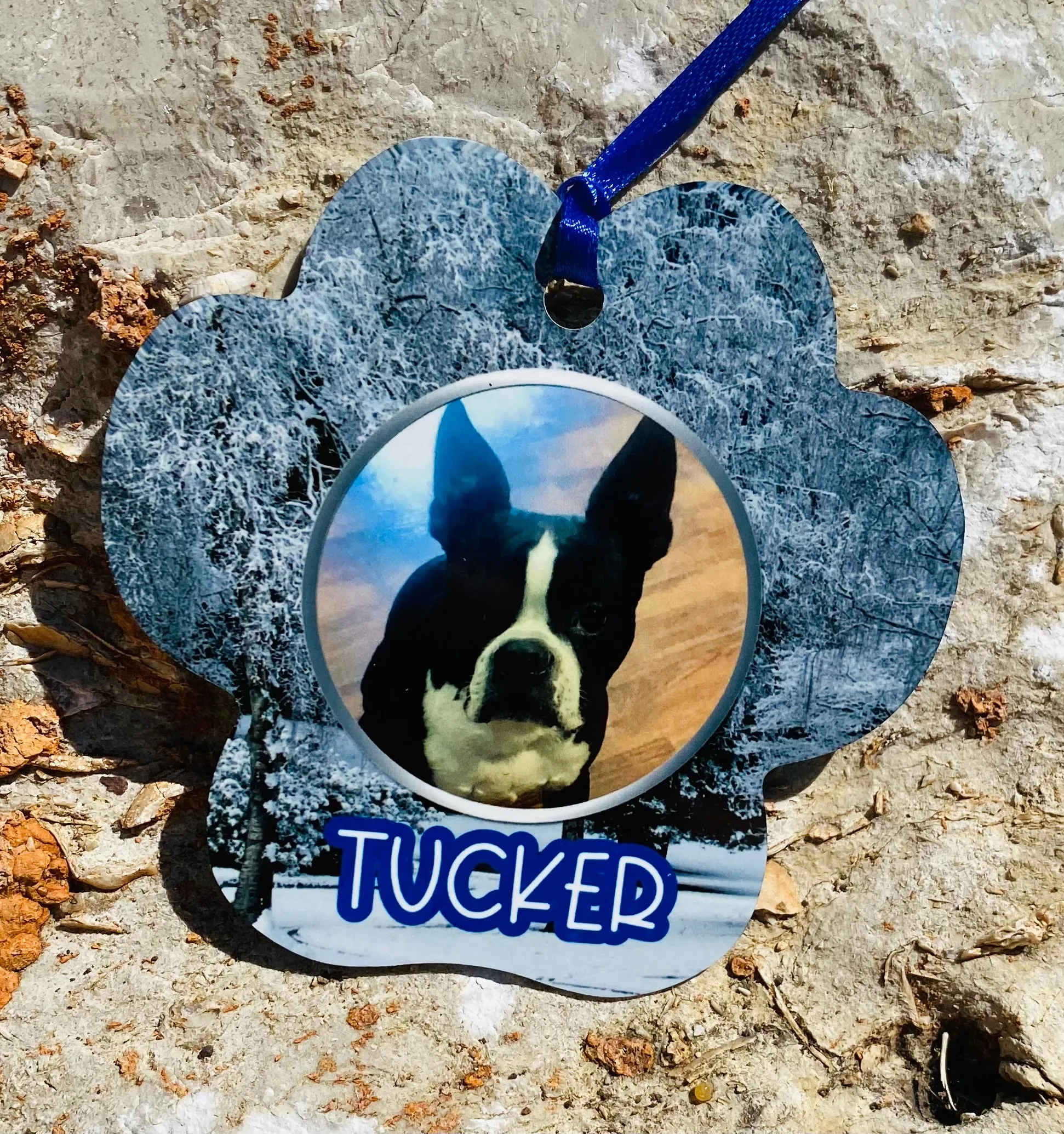 Pet Photo Ornaments