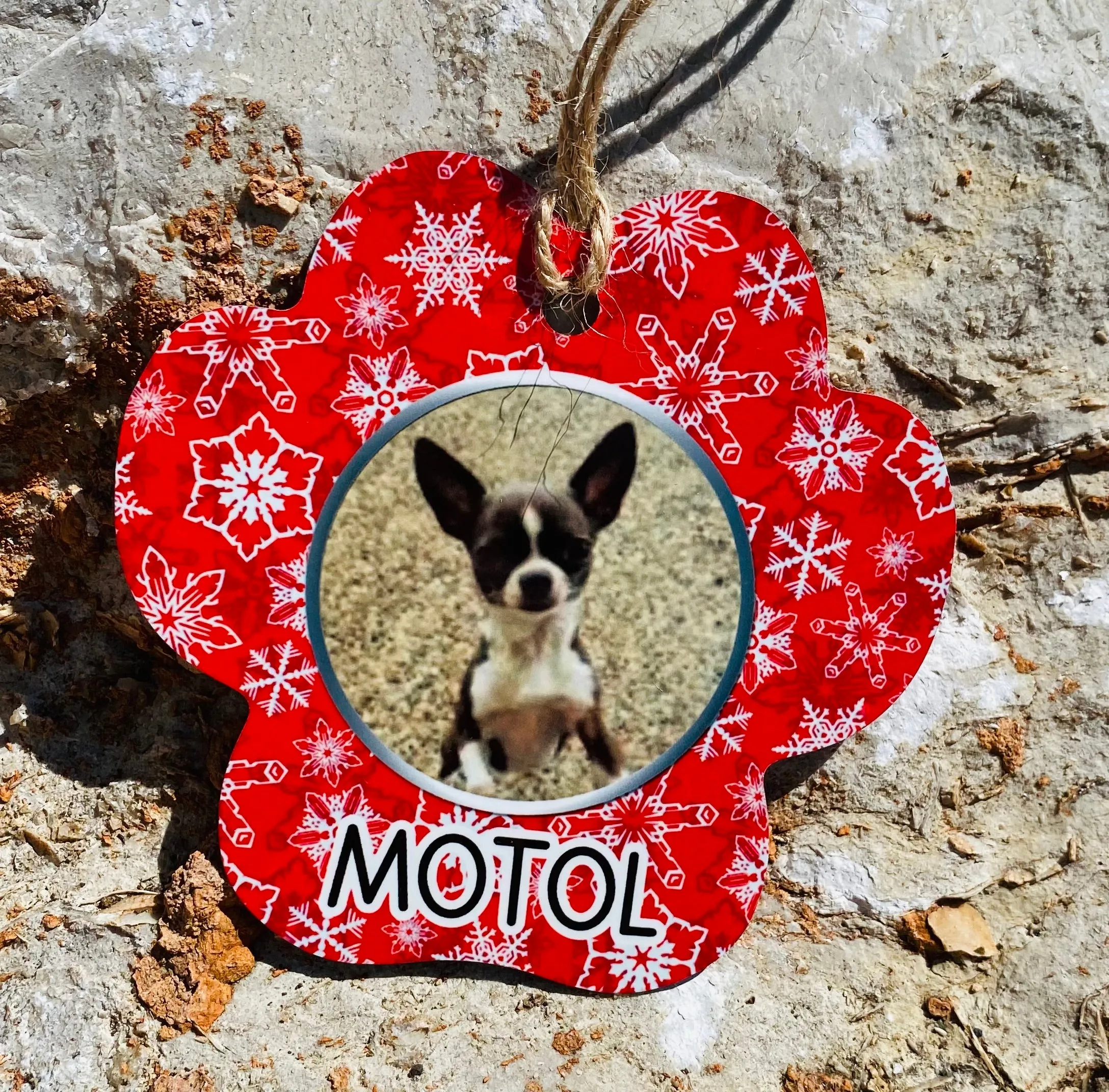 Pet Photo Ornaments