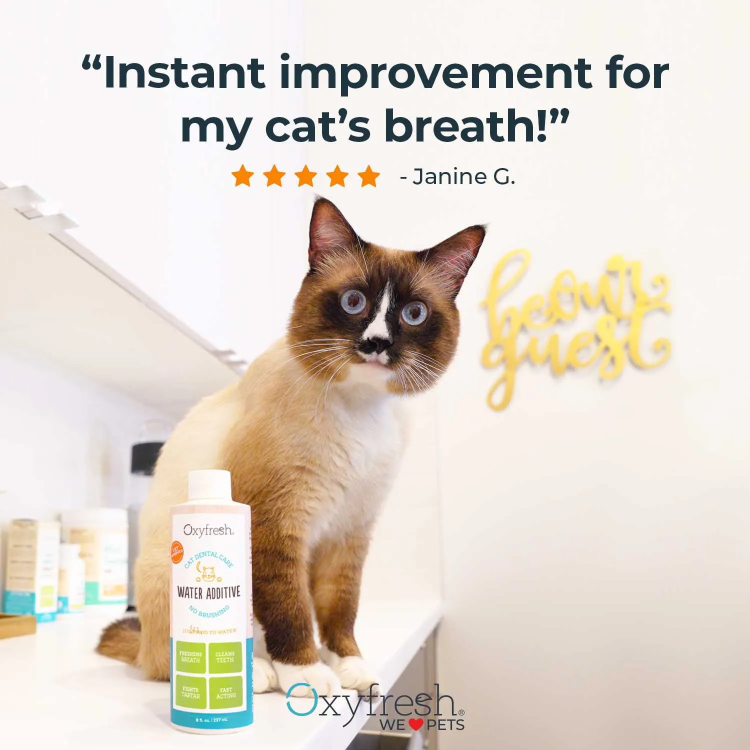 Premium Oxyfresh Cat Dental Water Additive, Fights Tartar & Plaque-8 Fl Oz
