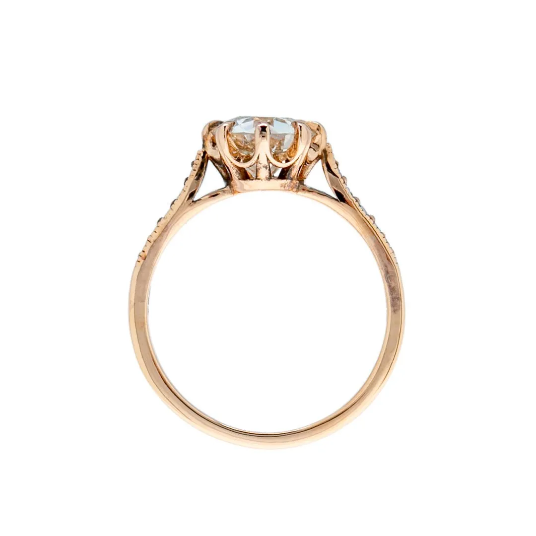 Rose Gold Meridian