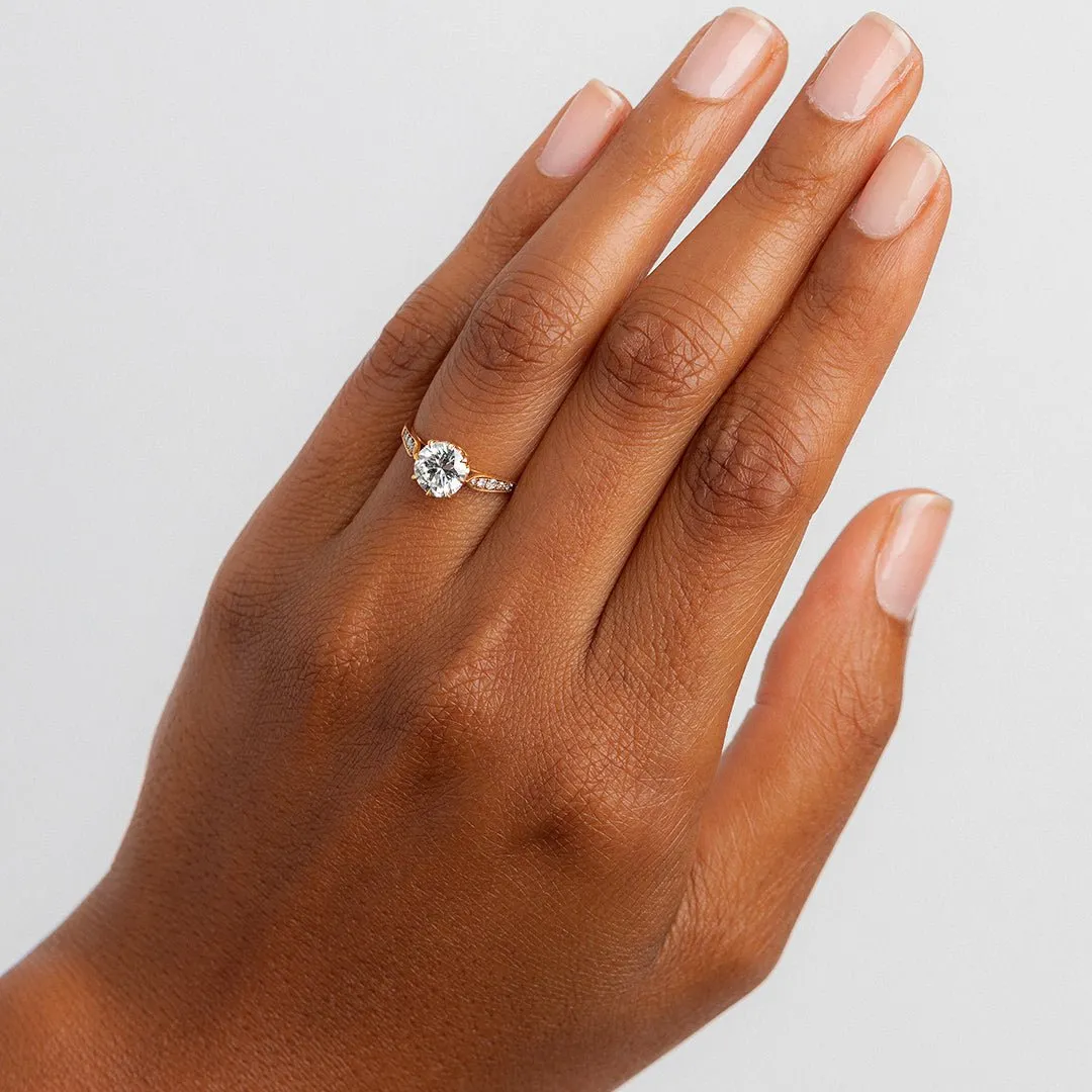 Rose Gold Meridian