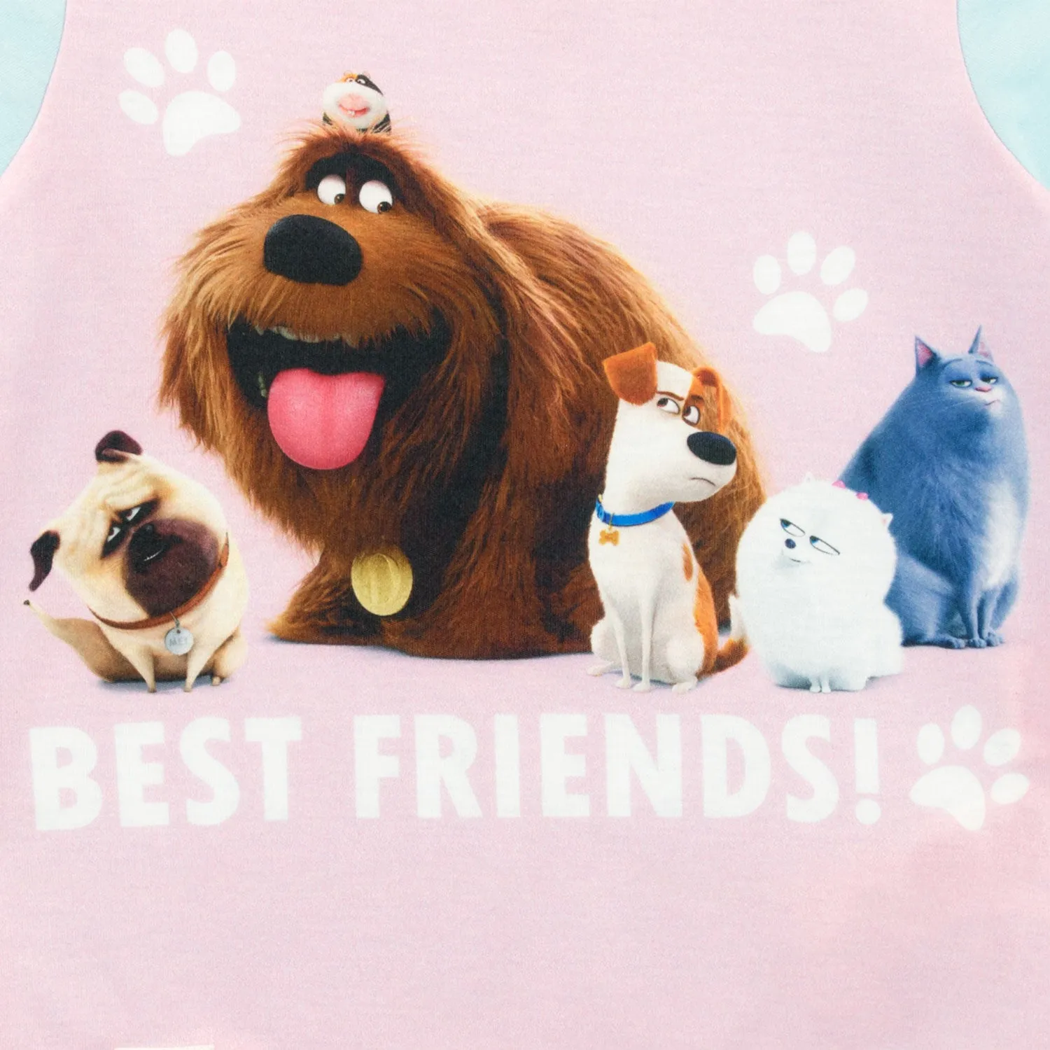 Secret Life Of Pets PJs