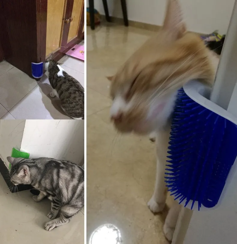 Self Grooming Brush for Cats
