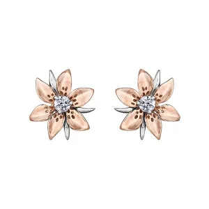 Shelly Purdy 14K Rose and White Gold Saskatchewan Western Red Lily (0.13ct) Canadian Maple Leaf Diamond Stud Earrings