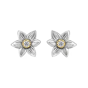 Shelly Purdy 14K White and Yellow Gold Manitoba Crocus (0.12ct) Canadian Maple Leaf Diamond Stud Earrings
