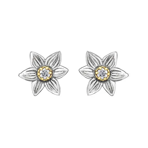 Shelly Purdy 14K White and Yellow Gold Manitoba Crocus (0.12ct) Canadian Maple Leaf Diamond Stud Earrings