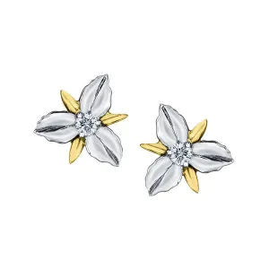 Shelly Purdy 14K White and Yellow Gold Ontario White Trilium (0.12ct) Canadian Maple Leaf Diamond Stud Earrings