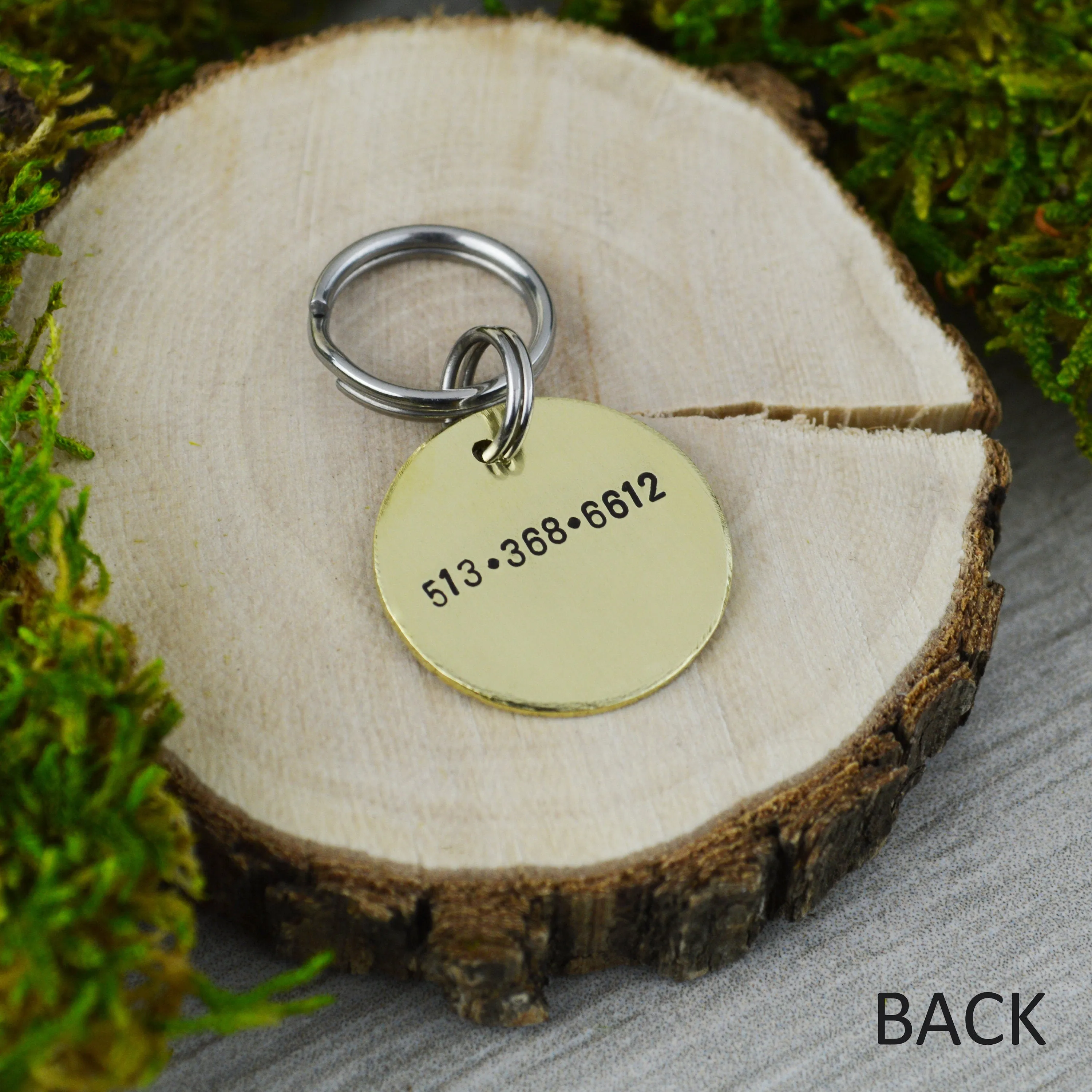 Shoot for the Stars Mini Pet ID Tag