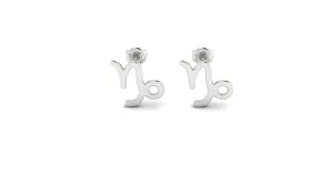 Silver Zostud earrings