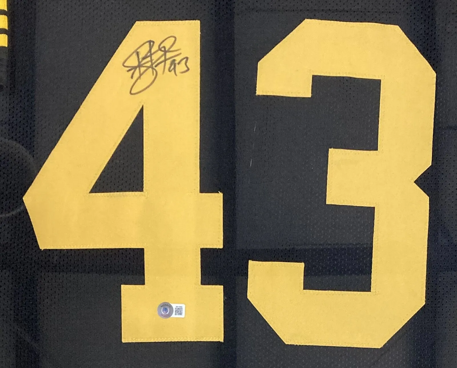 Troy Polamalu Pittsburgh Signed Framed Custom Black/Yellow Football Jersey BAS