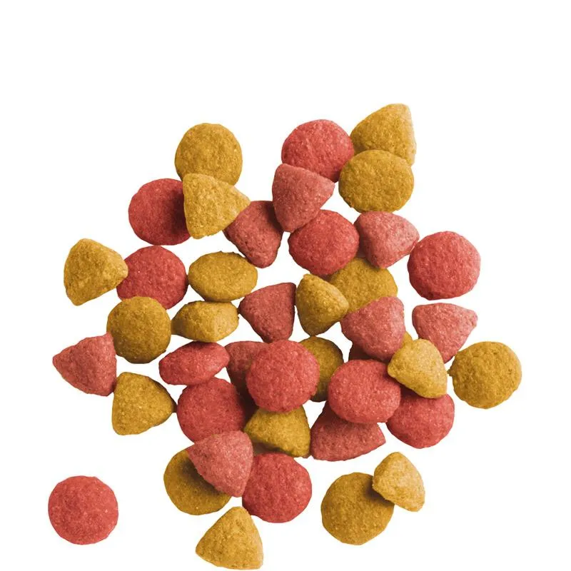 Versele-Laga Lara Adult Chicken Sterilized, Dry Cat Food