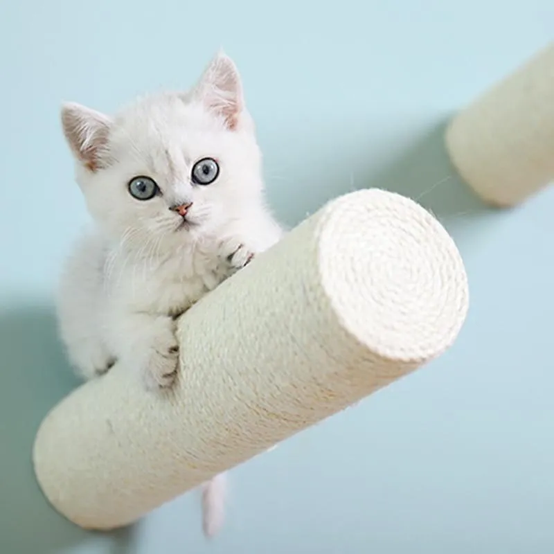 Wall-Mounted Scratching Post