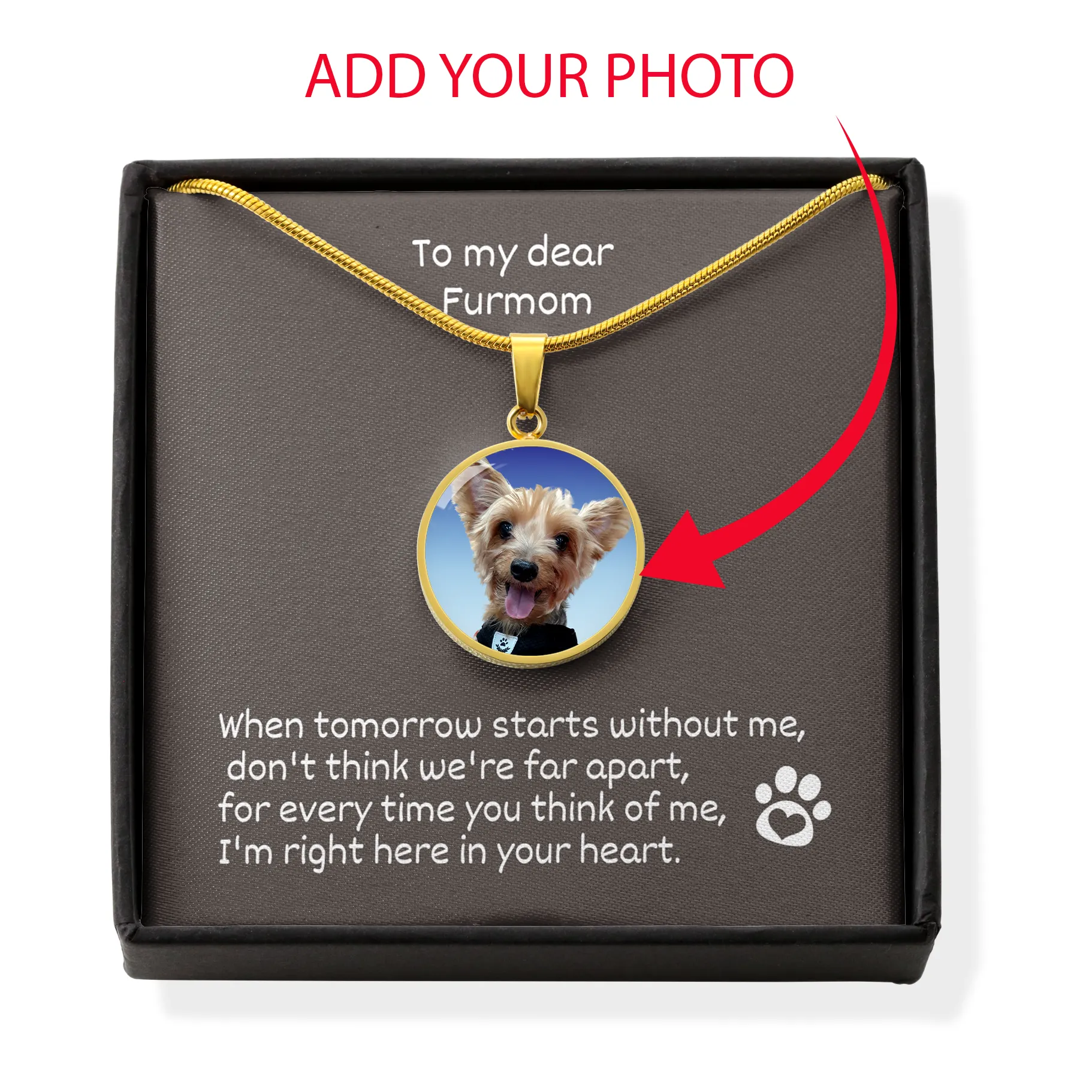 When Tomorrow Starts Without Me Personalized Photo Pet Memorial Pet Loss In Remembrance Circle Necklace With Engraving