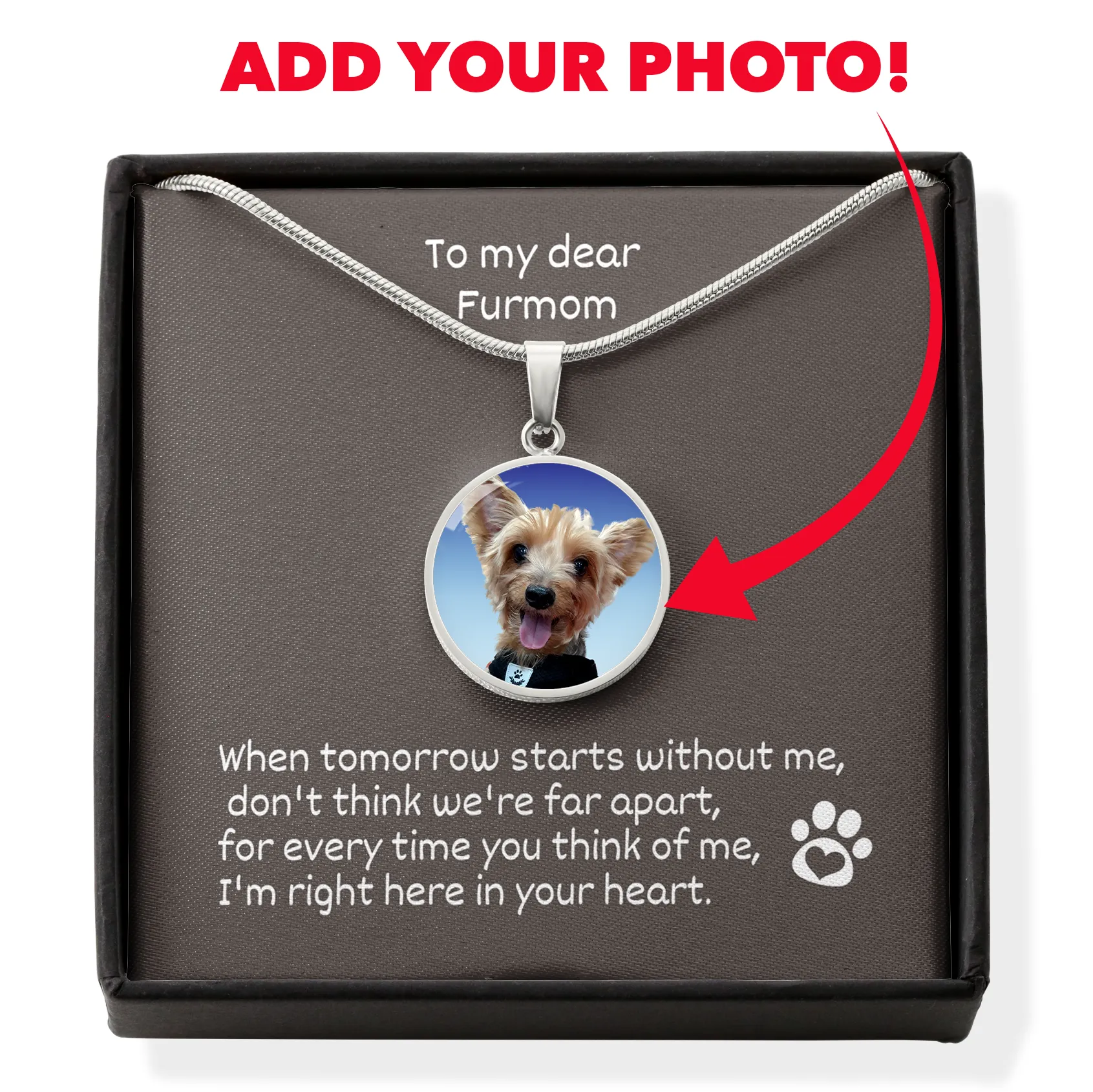 When Tomorrow Starts Without Me Personalized Photo Pet Memorial Pet Loss In Remembrance Circle Necklace With Engraving