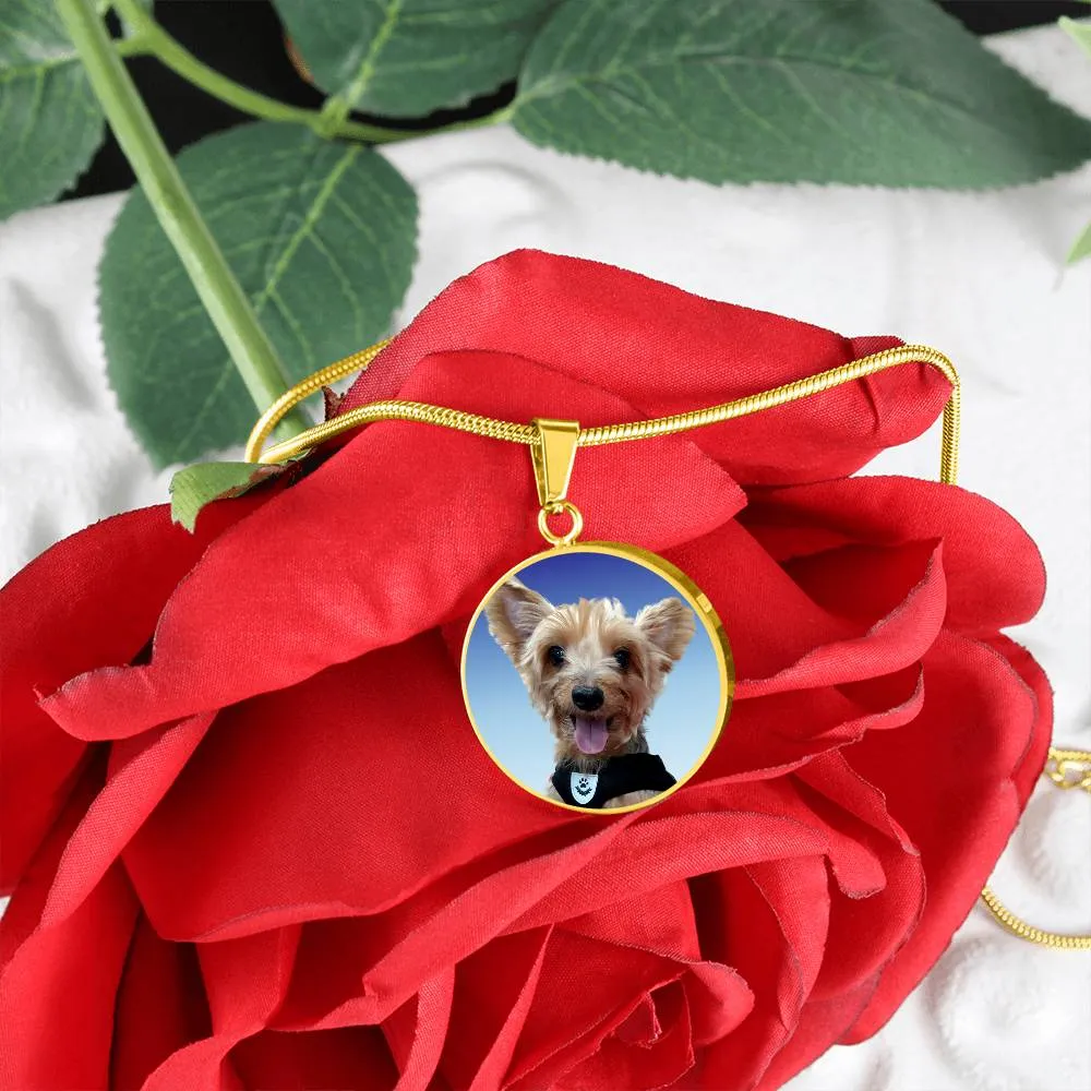 When Tomorrow Starts Without Me Personalized Photo Pet Memorial Pet Loss In Remembrance Circle Necklace With Engraving