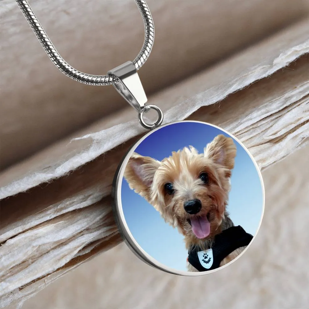 When Tomorrow Starts Without Me Personalized Photo Pet Memorial Pet Loss In Remembrance Circle Necklace With Engraving